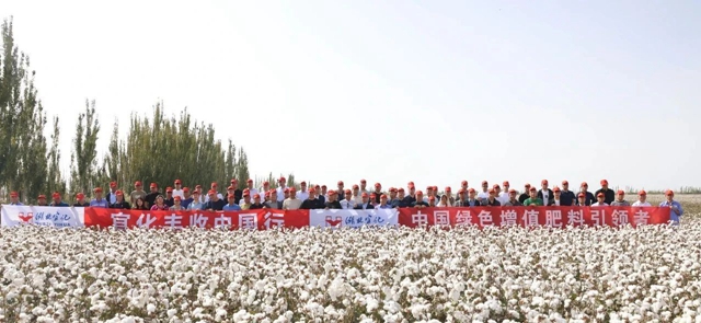宜化豐收中國行！新疆棉花大型測產(chǎn)觀摩會成功舉行